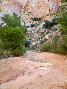 Hackberry Canyon Water