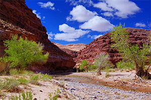 Poison Spring Canyon in the Sun