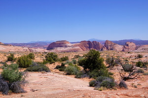 Spencer Canyon near Trail