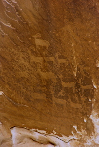 White Pocket Petroglyphes